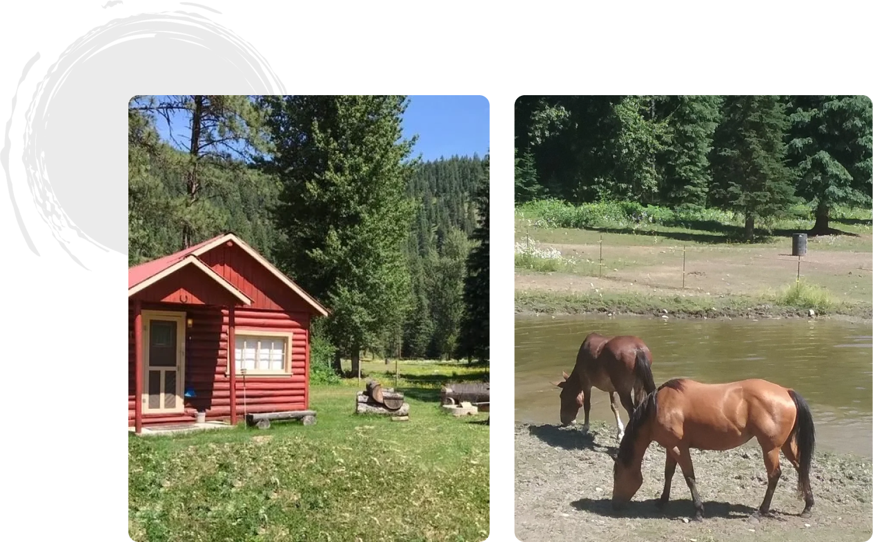 Red cabin, horses by pond, scenic view.