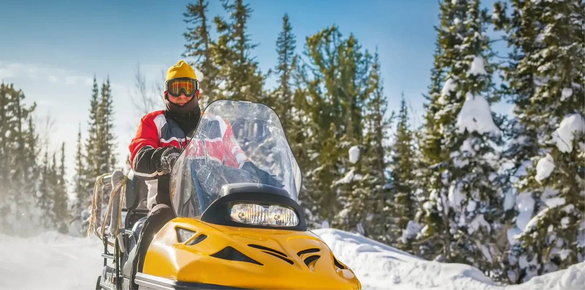 Person snowmobiling in a snowy forest.