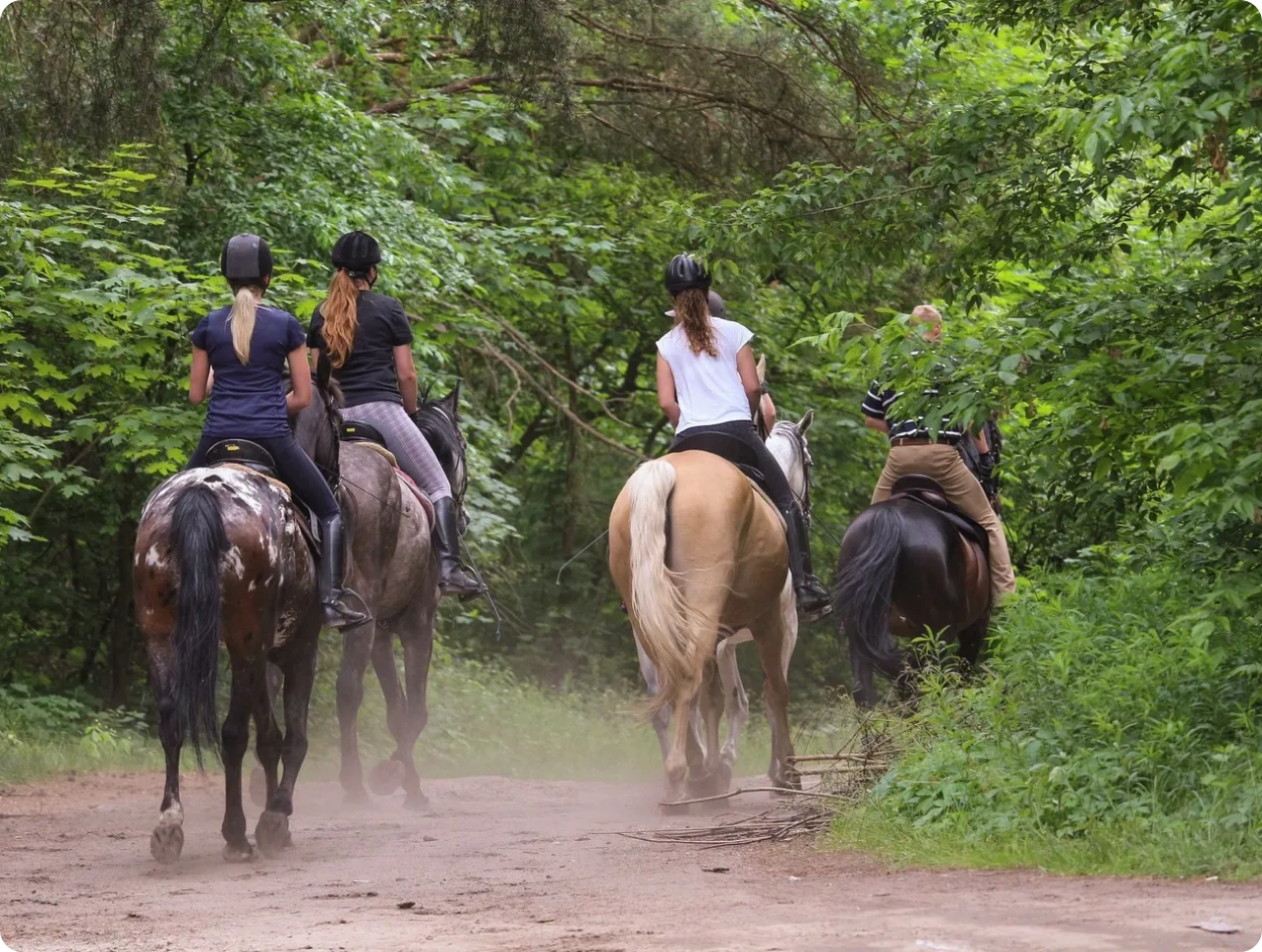 Four riders horseback riding on trail.